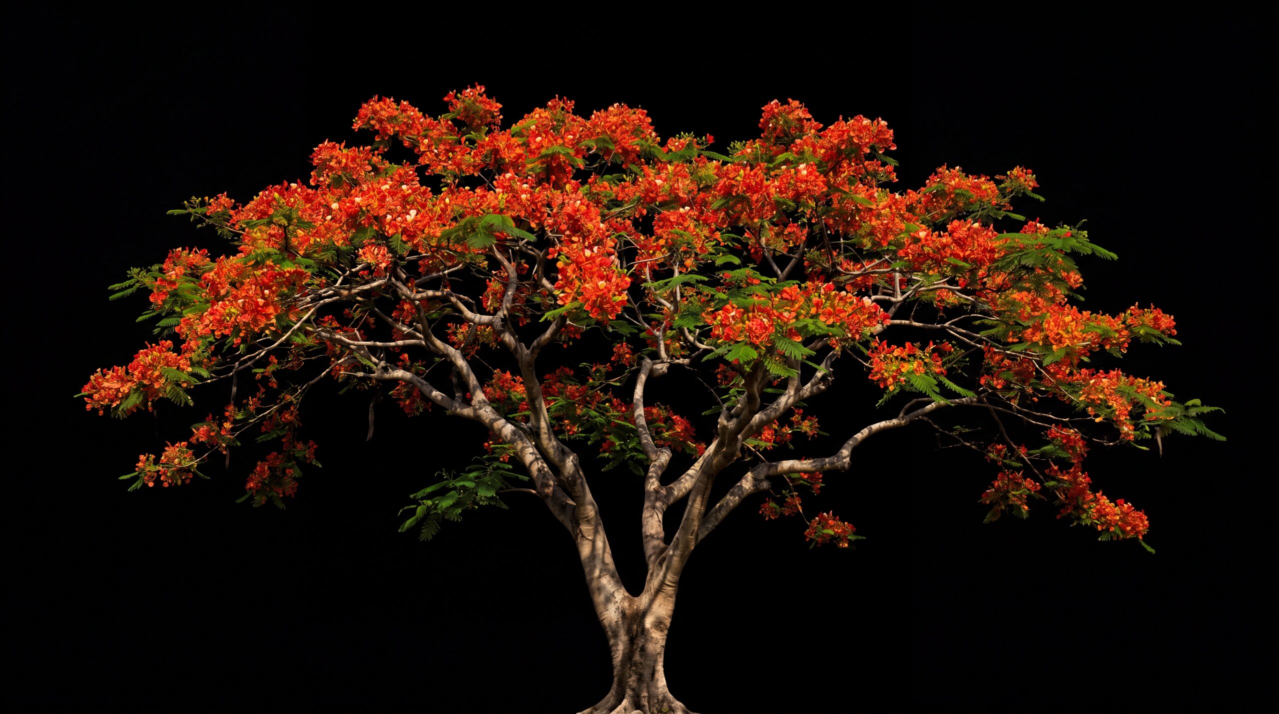PTREE
